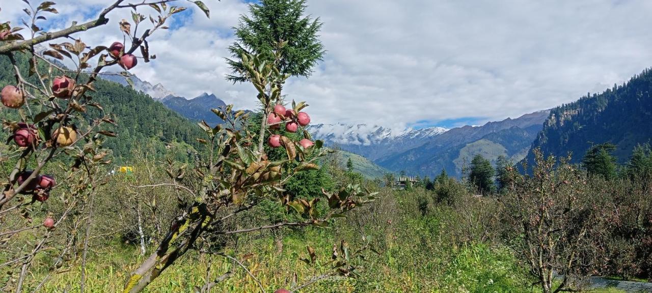 Apple Flower With Balcony And Mountain View